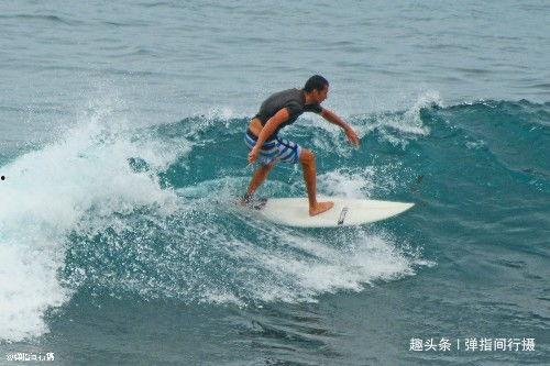 推特网红我不会冲浪资源