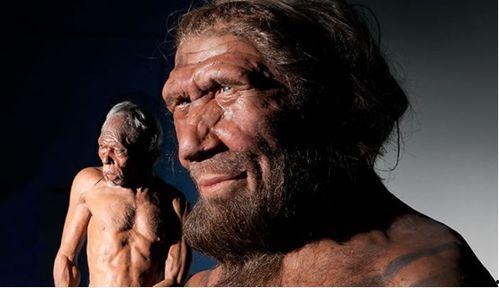 nichol尼蔻吃瓜,揭秘娱乐圈幕后故事