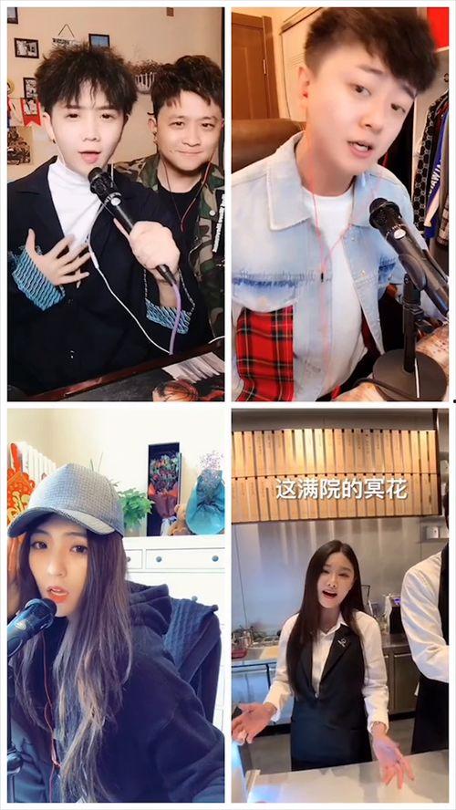 网红齐唱,网红齐聚演绎音乐盛宴
