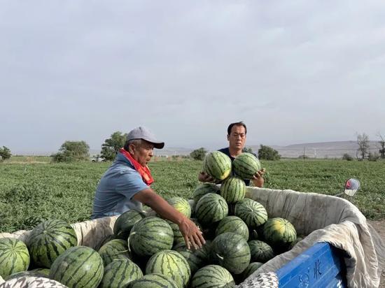 吃瓜区视频,短视频中的娱乐盛宴