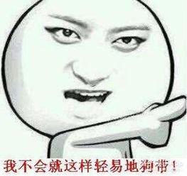 表情明星,表情明星的魅力之旅