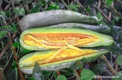 网红爆料吃瓜入口,揭秘吃瓜界的入口秘籍！