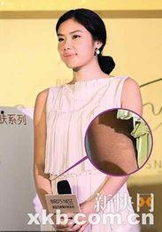 明星的搜狐博客,揭秘明星私生活与心路历程