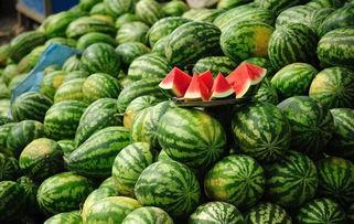 吃瓜吐血整理合集,合集深度解析