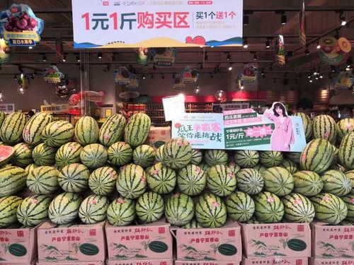 王府井吃瓜大赛,夏日狂欢，瓜王争霸记