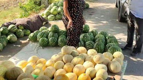 热门吃瓜关键词,热门吃瓜关键词背后的惊人真相