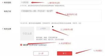 头条号需要发作品吗,如何高效生成吸引眼球的概述文章副标题