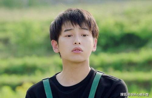 明星xhai,闪耀星途，璀璨人生