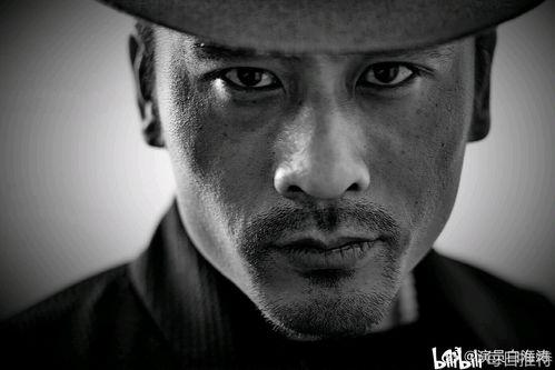 很大叔的明星,揭秘明星“很大叔”的星光历程