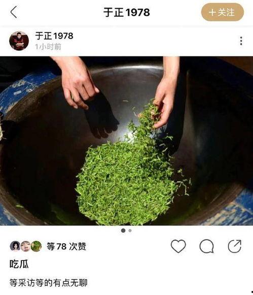吃瓜赵麻麻,揭秘娱乐圈背后的那些事儿