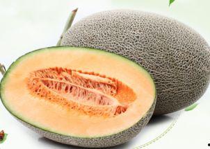 梦见吃切开的哈密瓜,切开的哈密瓜预示着什么？