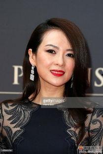 p过的明星,揭秘那些曾闪耀过娱乐圈的璀璨明星