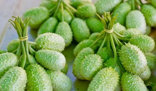 橙色吃瓜,揭秘橙色吃瓜的奇妙之旅