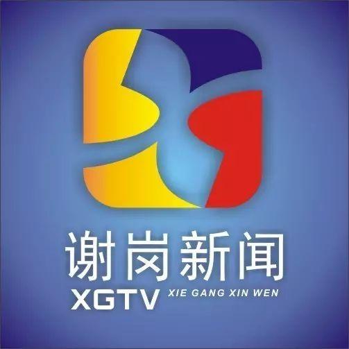 谢岗爆料新闻视频播放,事件真相即将揭晓