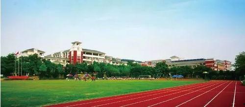 石湾中学附近网红地方,石湾中学周边网红打卡地探秘指南